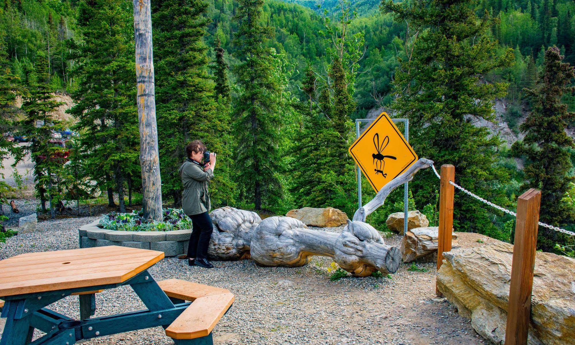 Grande Denali Lodge Denali Park ภายนอก รูปภาพ